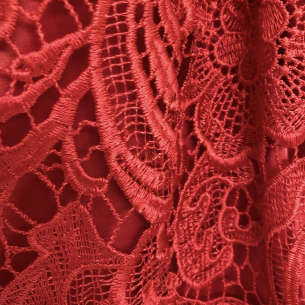 Adrianna Papell Rose Red Lace Illusion Party Dress XS - Picture 7 of 13
